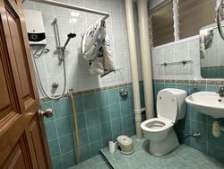 Ivory Heights (D22), Condominium #623063901